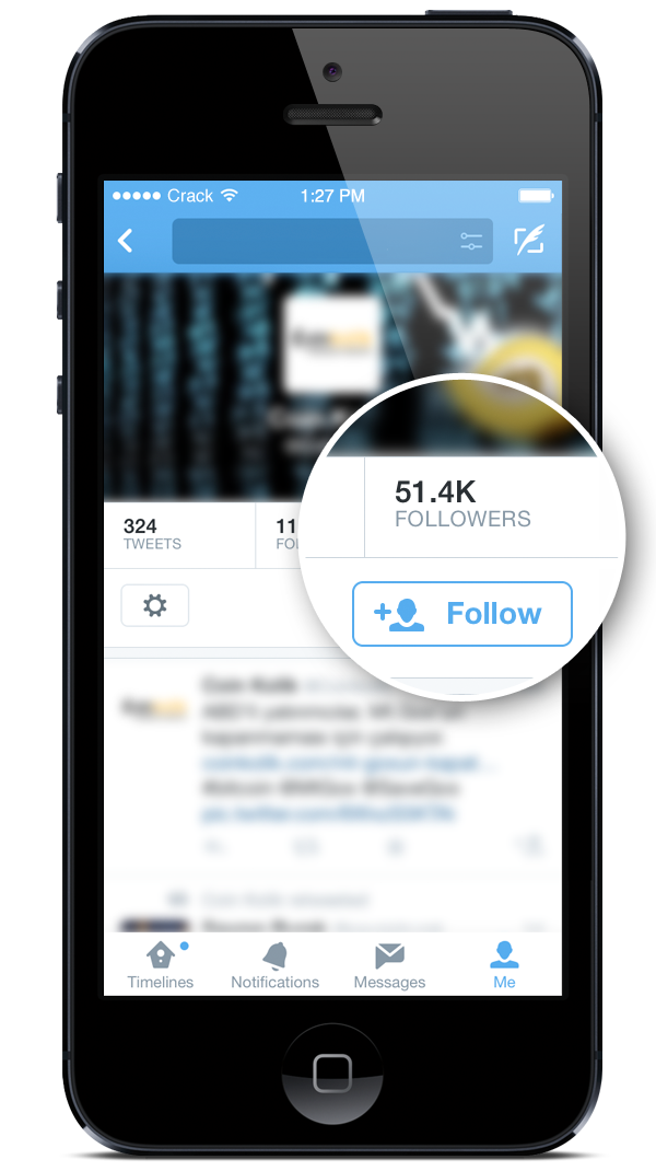Twitter Followers iPhone Screenshot